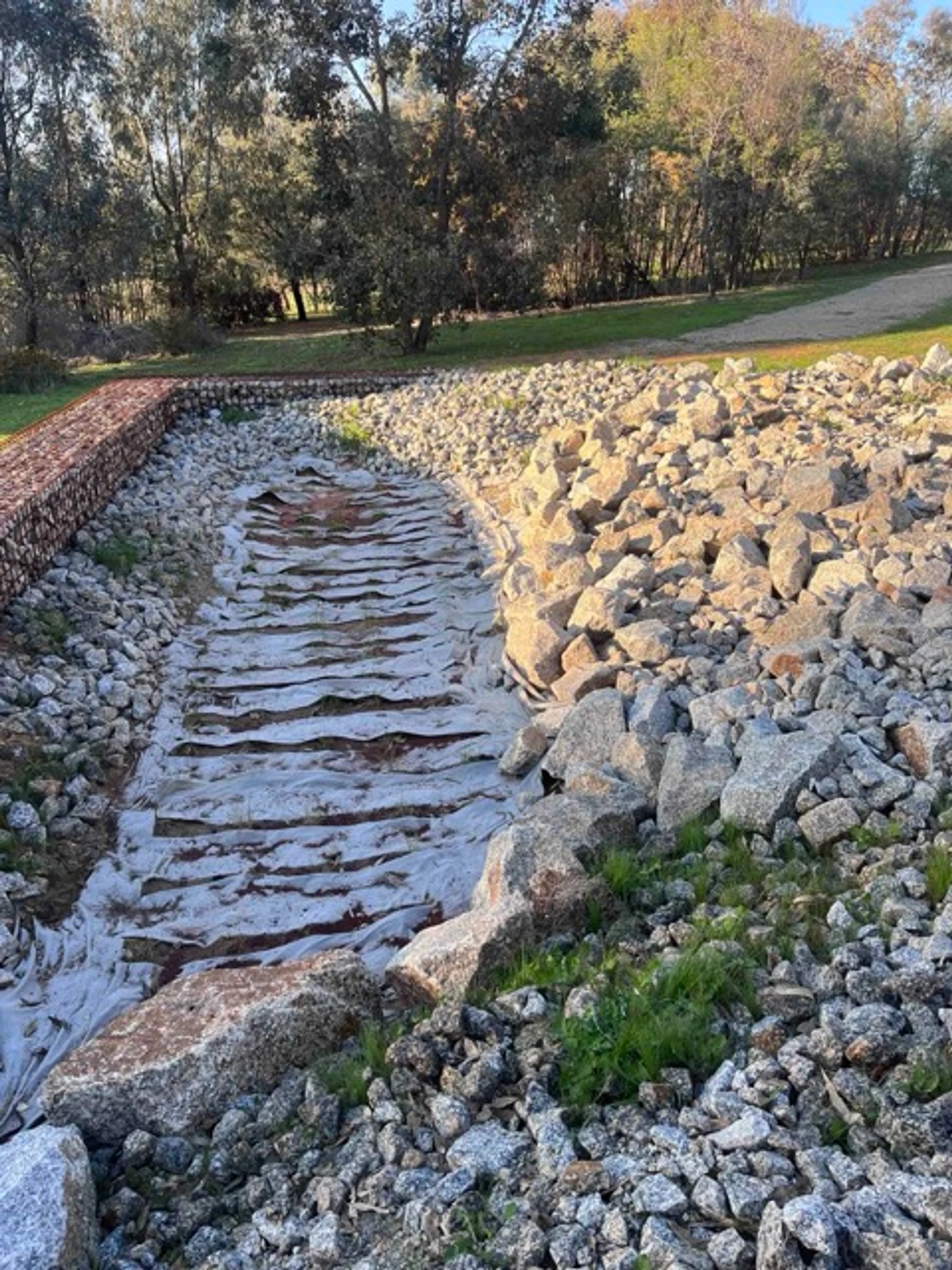 Ettamogah Rise Riparian Corridor - Image 11