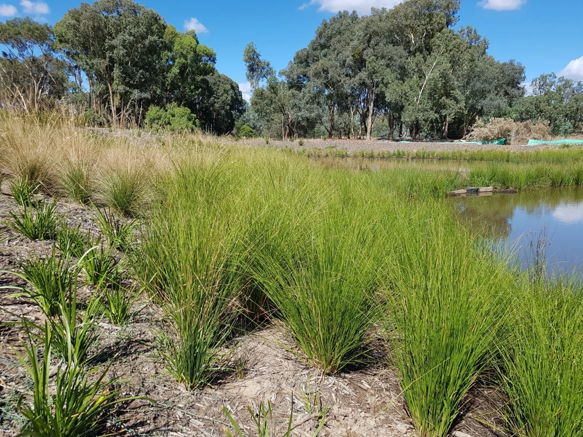 Brooklyn Fields Estate (Stage 1 to Stage 5) - Image 7