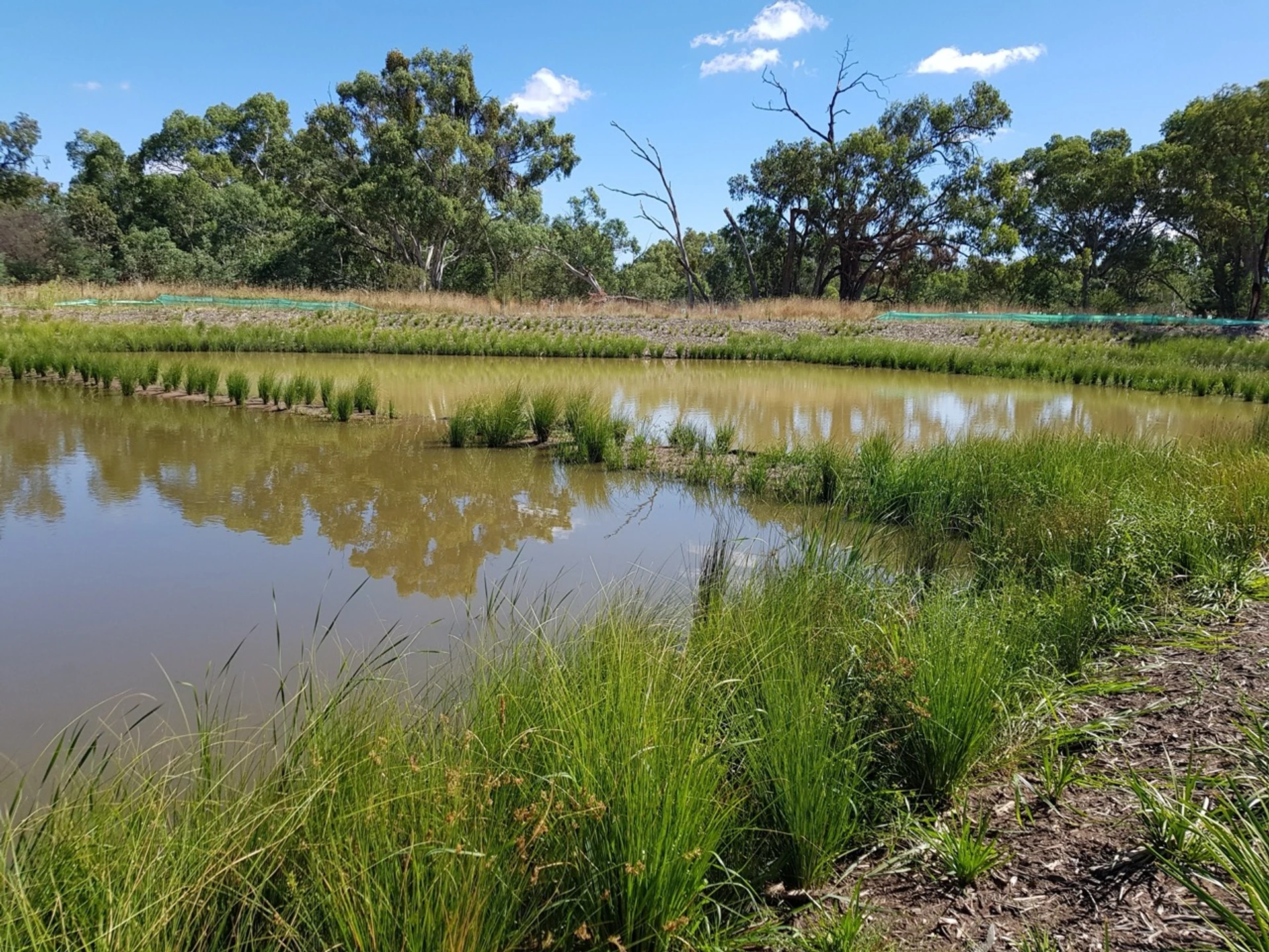 Brooklyn Fields Estate (Stage 1 to Stage 5) - Image 6