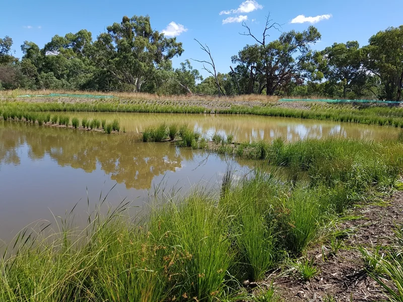 Brooklyn Fields Estate (Stage 1 to Stage 5) - Image 5