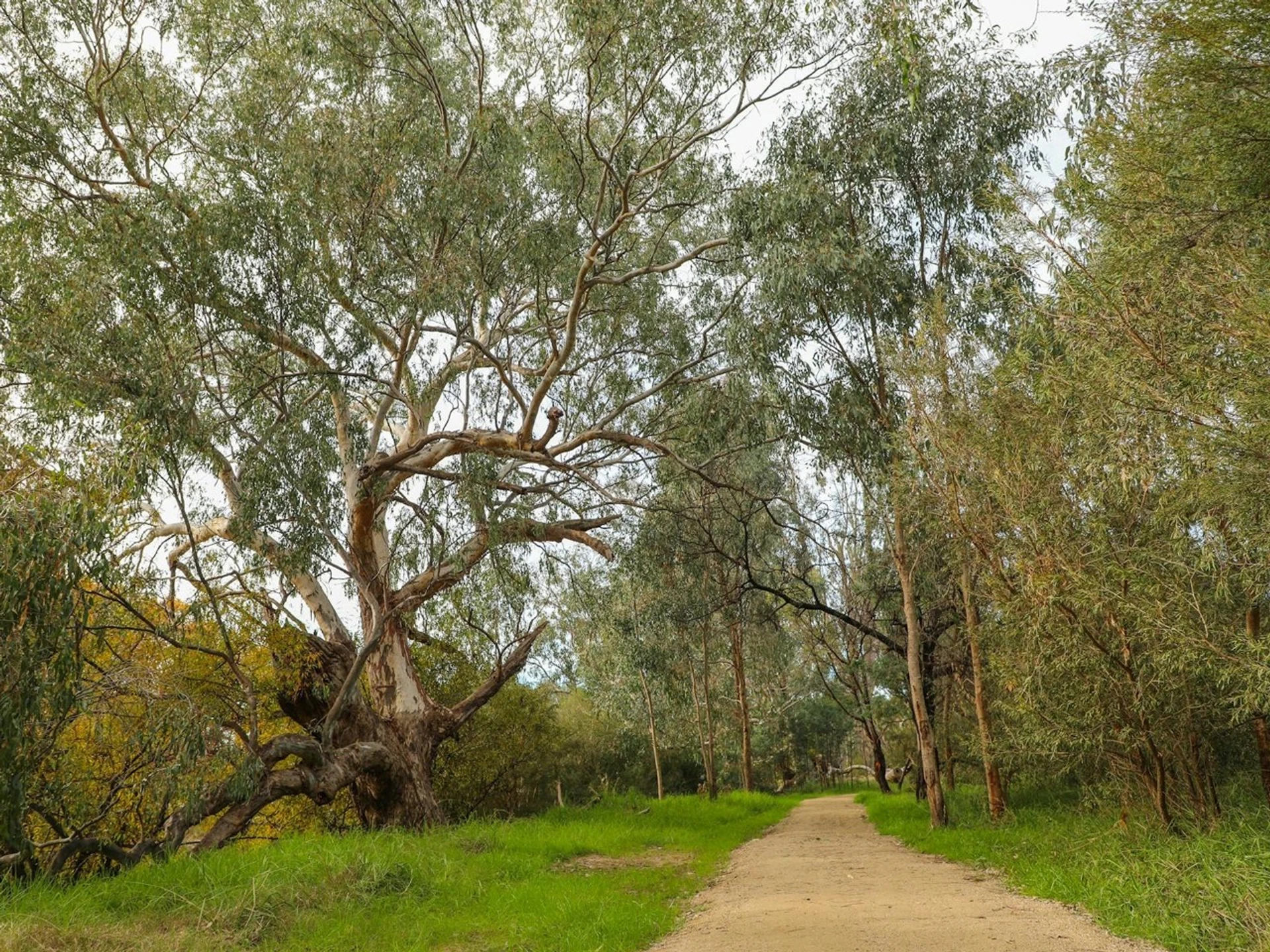 Crossing Place Trail - Image 13