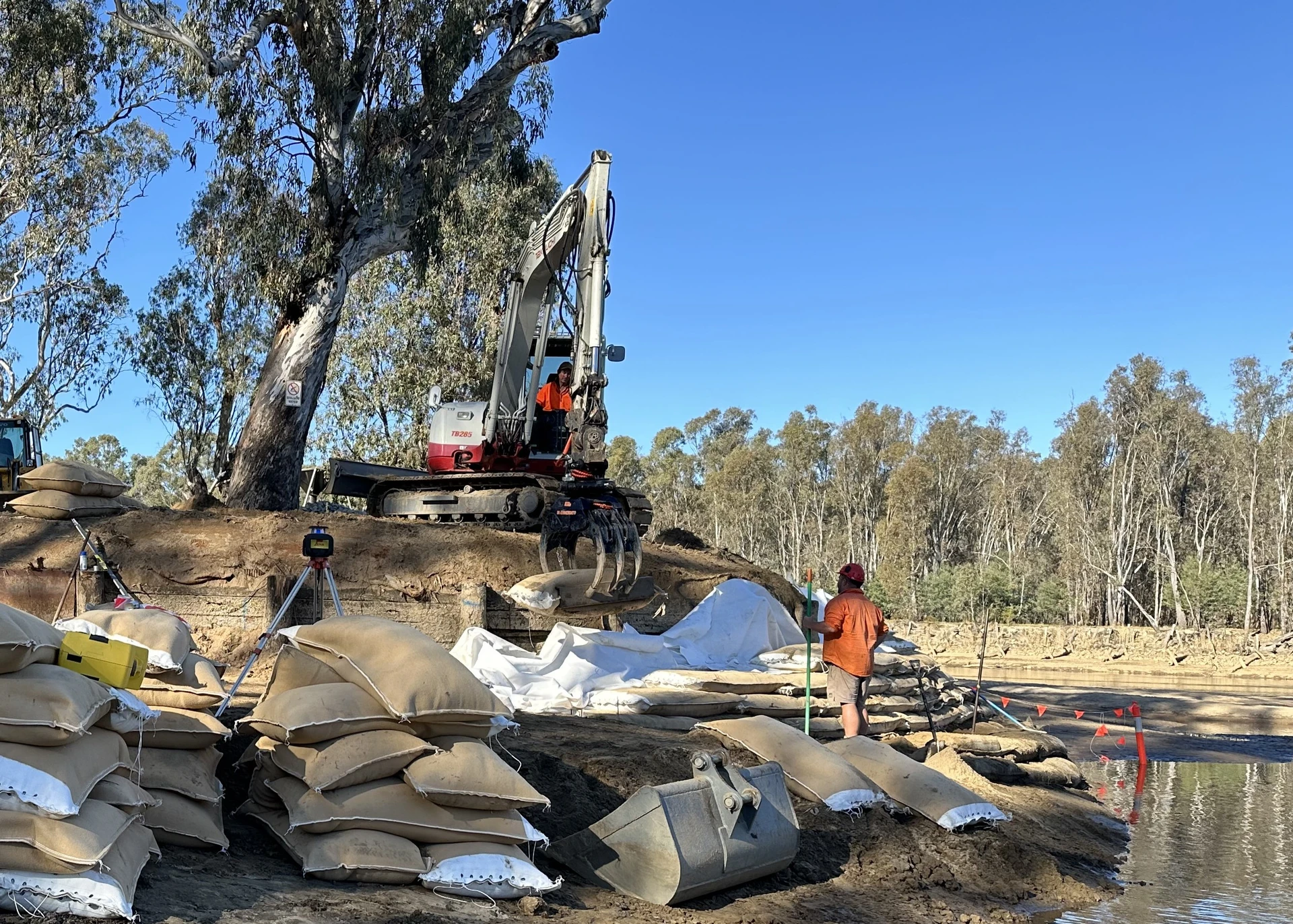 Corowa Foreshore Rehabilitation - Image 7