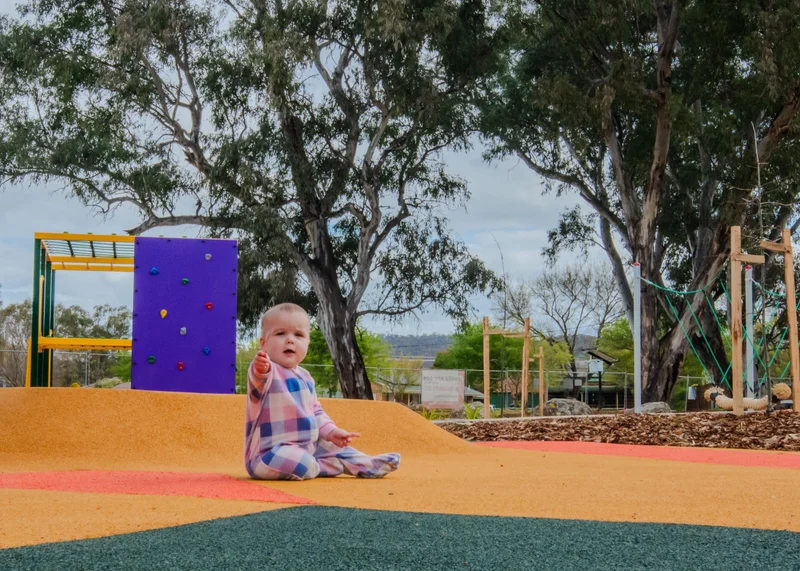 Fredericks Park Upgrade – "Turtle Park" - Image 8