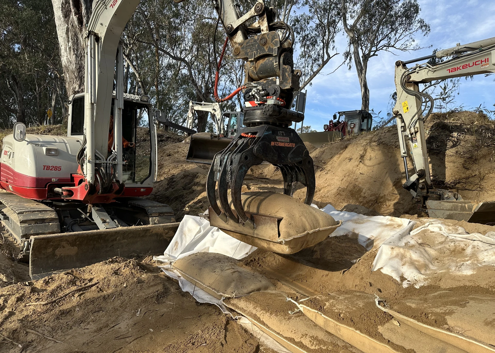 Corowa Foreshore Rehabilitation - Image 11