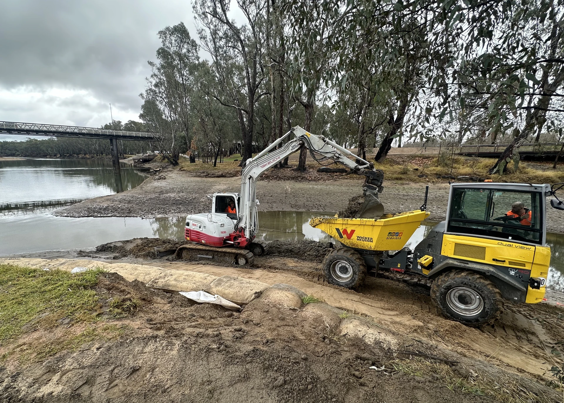Corowa Foreshore Rehabilitation - Image 13