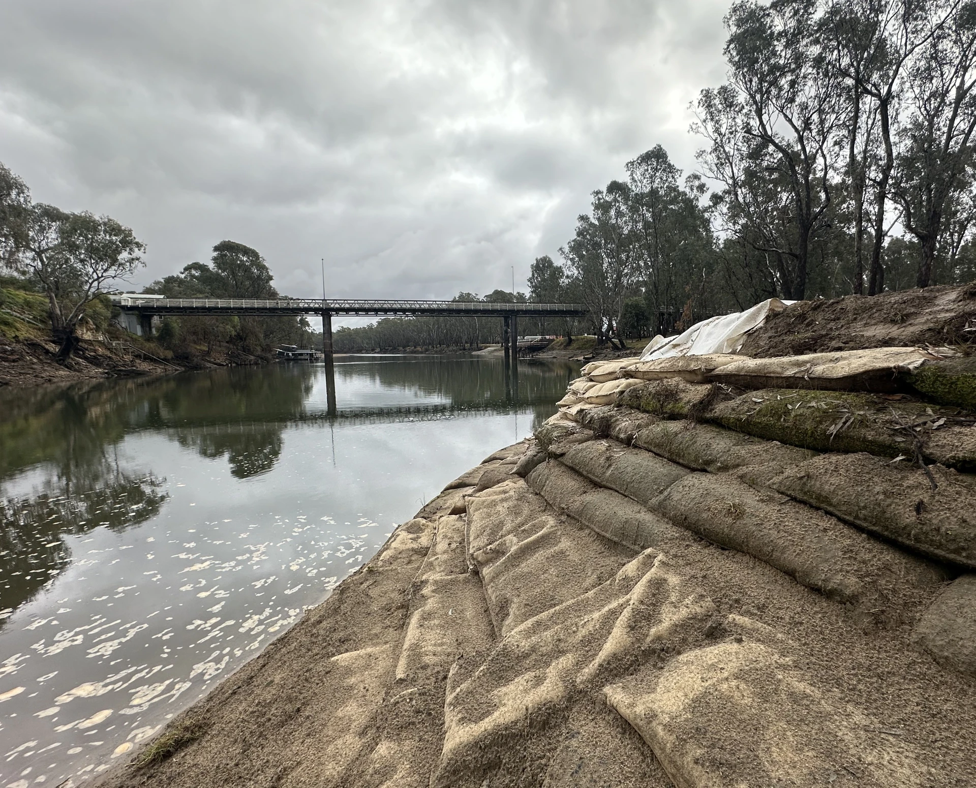 Corowa Foreshore Rehabilitation - Image 14