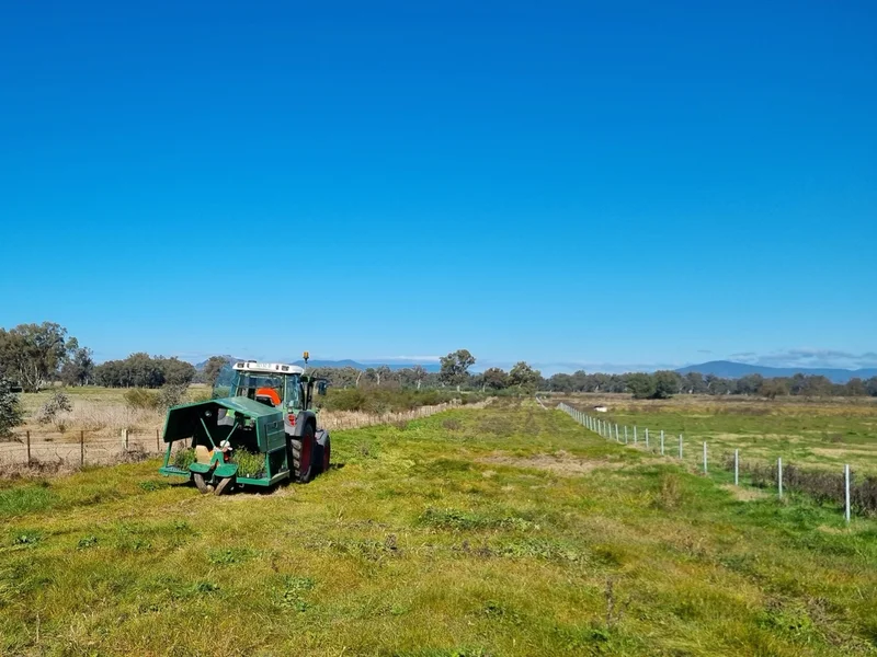Woolshed Creek - Image 9