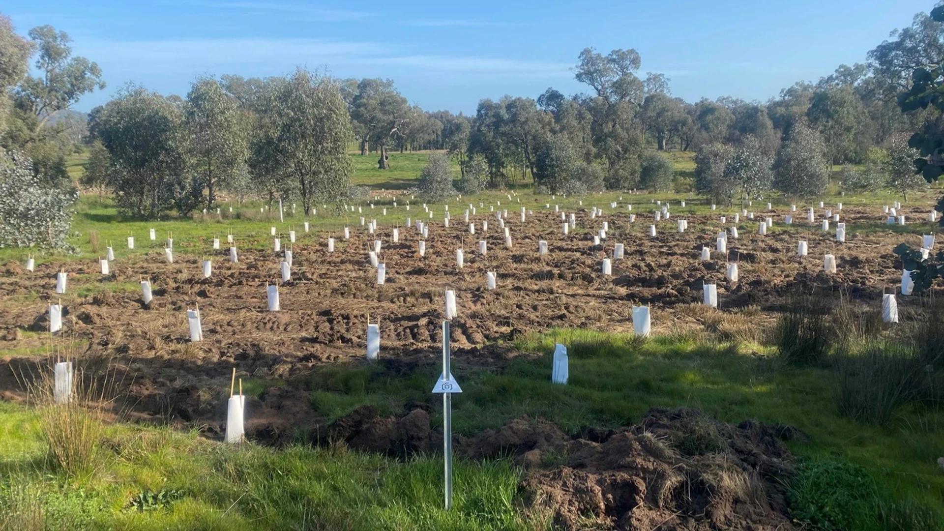 Woolshed Creek - Image 11