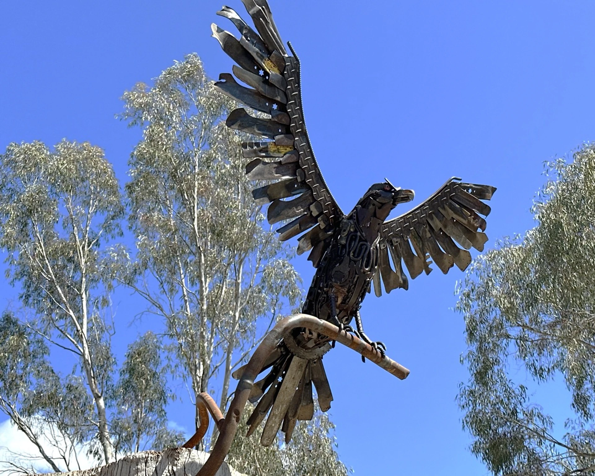 Whitfield Reserve Redevelopment - Image 6