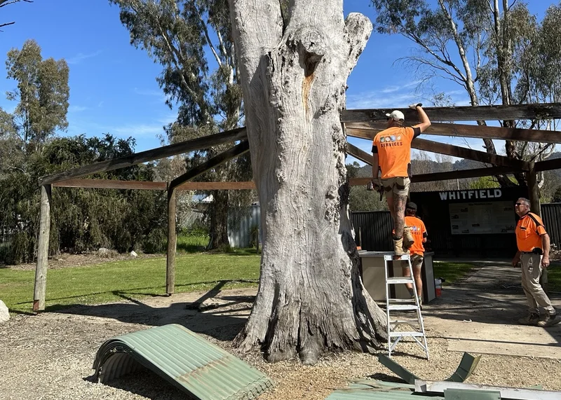 Whitfield Reserve Redevelopment - Image 14