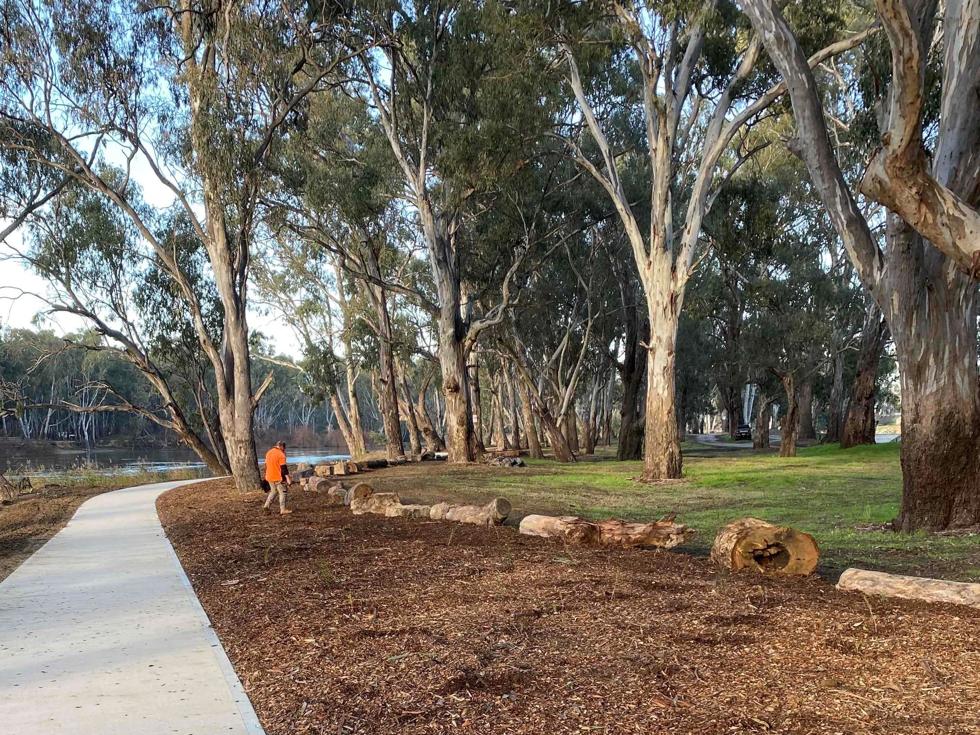 Corowa Lagoon Walking Trail - Image 14