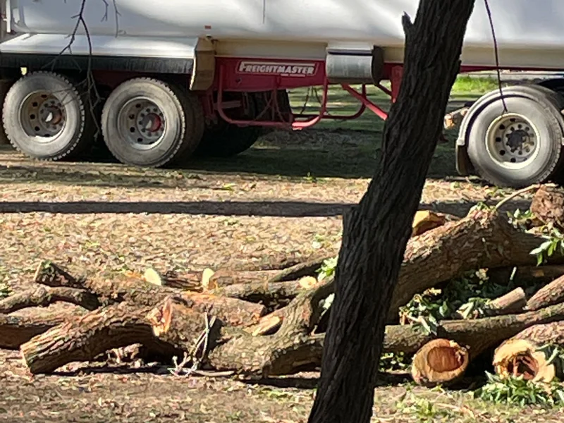 Corowa Lagoon Walking Trail - Image 15
