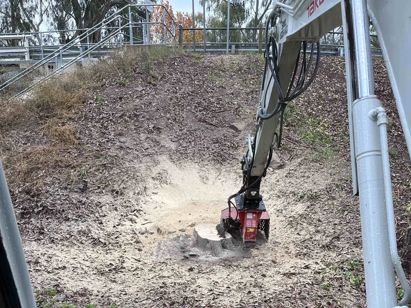 Corowa Lagoon Walking Trail - Image 17