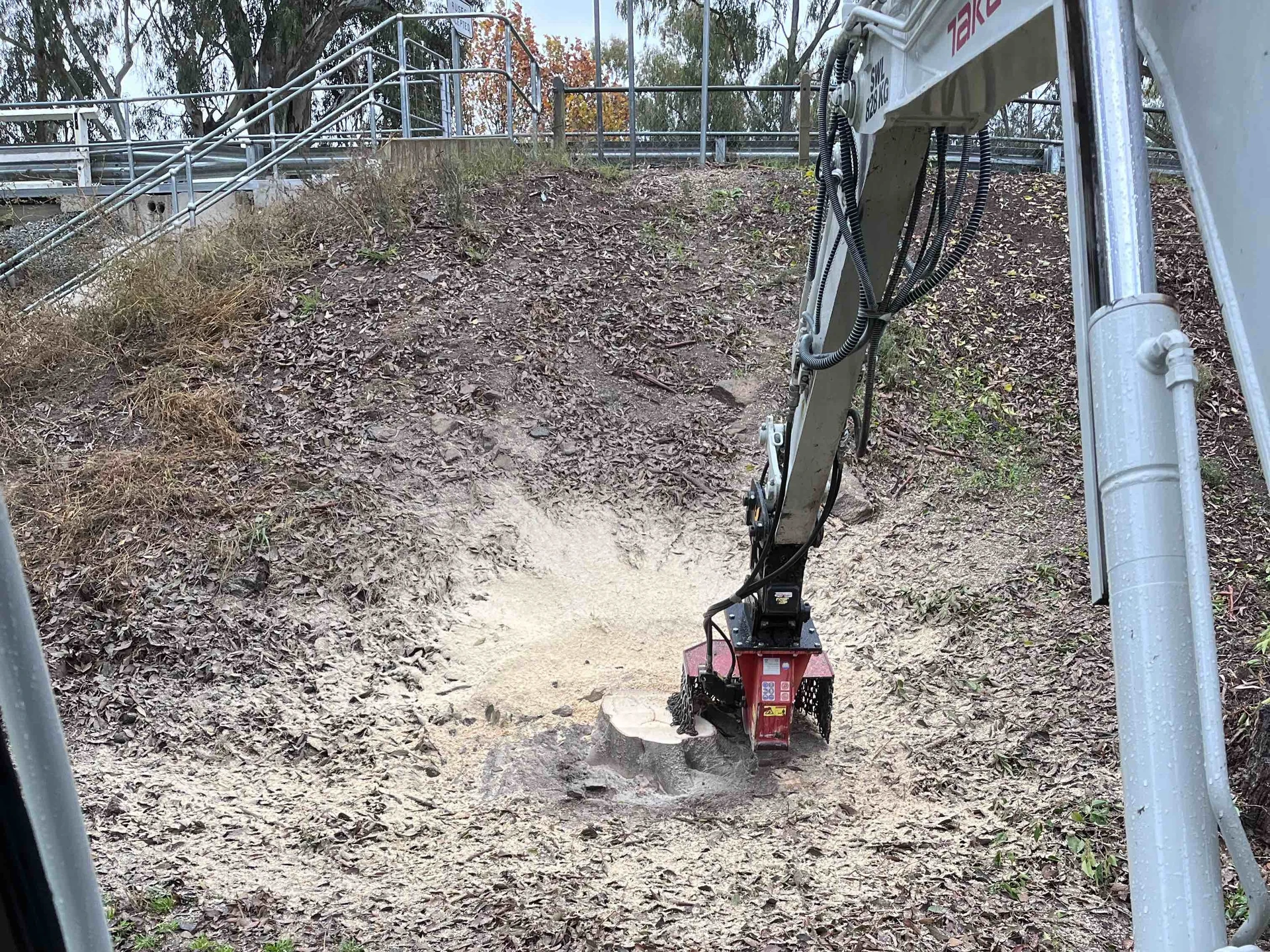 Corowa Lagoon Walking Trail - Image 18