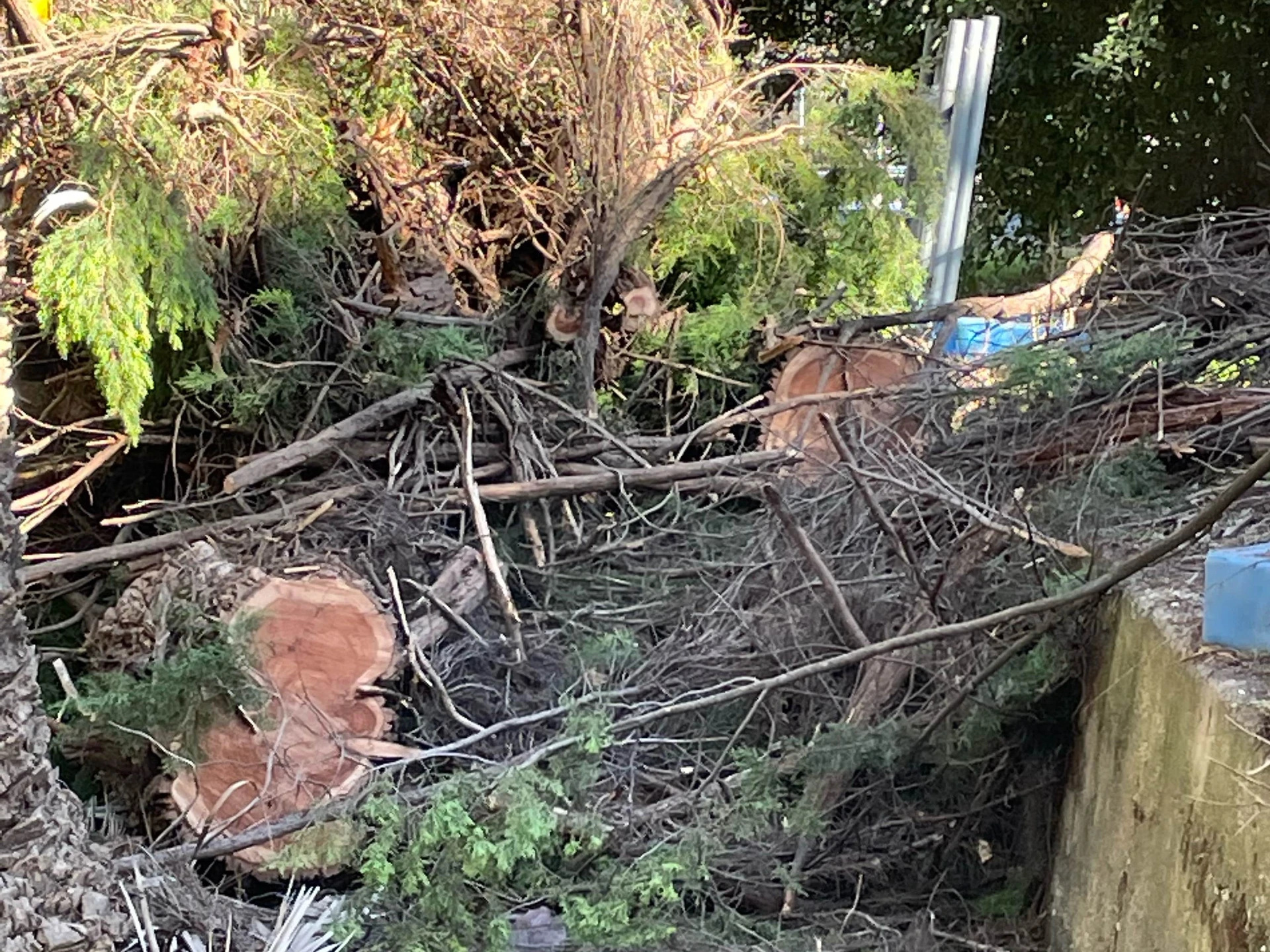 Corowa Lagoon Walking Trail - Image 19