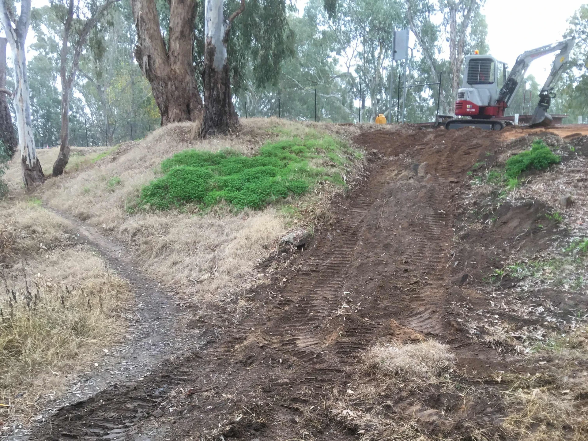 Corowa Lagoon Walking Trail - Image 3