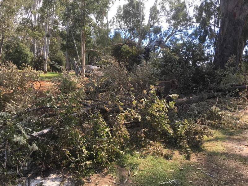 Corowa Lagoon Walking Trail - Image 5