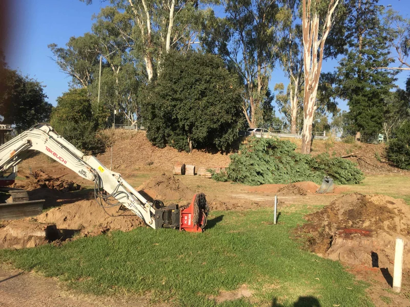 Corowa Lagoon Walking Trail - Image 7