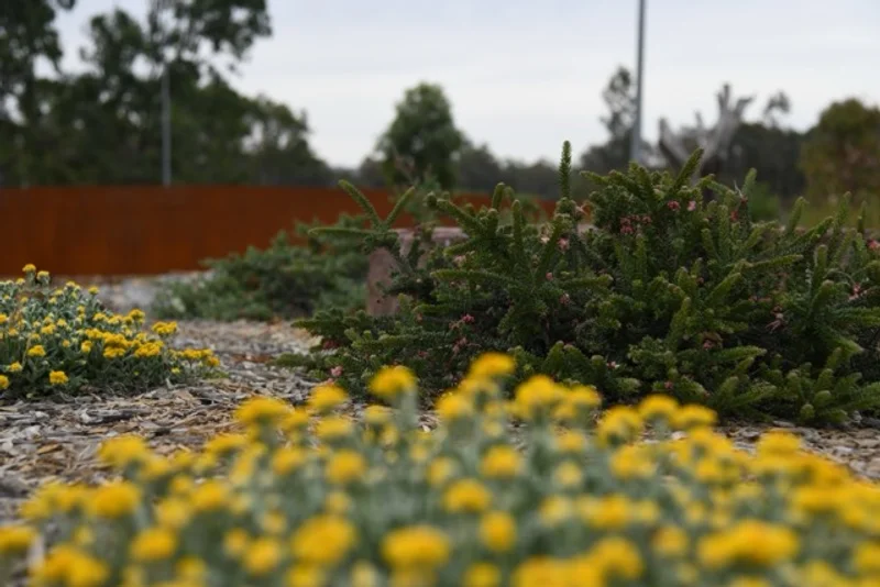 CSU – Sustainable Landscape Upgrade - Image 1