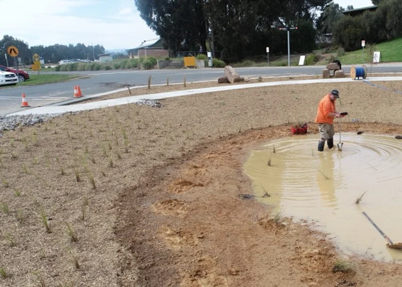 CSU – Sustainable Landscape Upgrade - Image 6