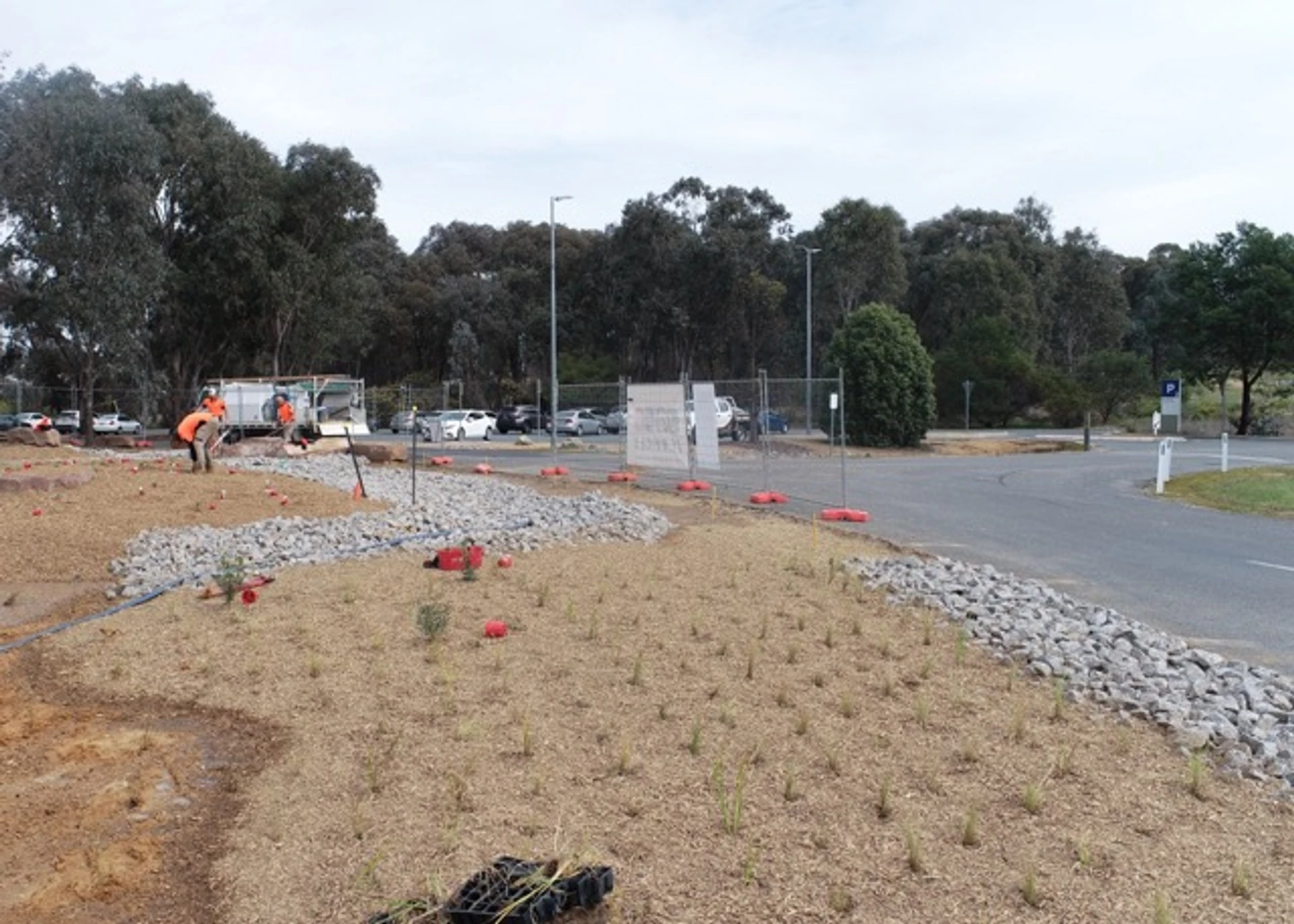 CSU – Sustainable Landscape Upgrade - Image 6