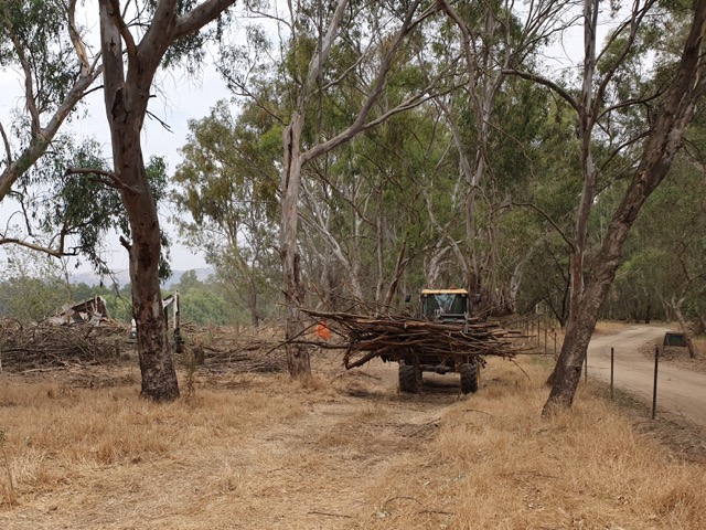 Fire Hazard Reduction & Property Clean-Up - 1