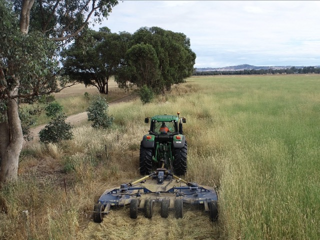 Fire Hazard Reduction & Property Clean-Up - 2
