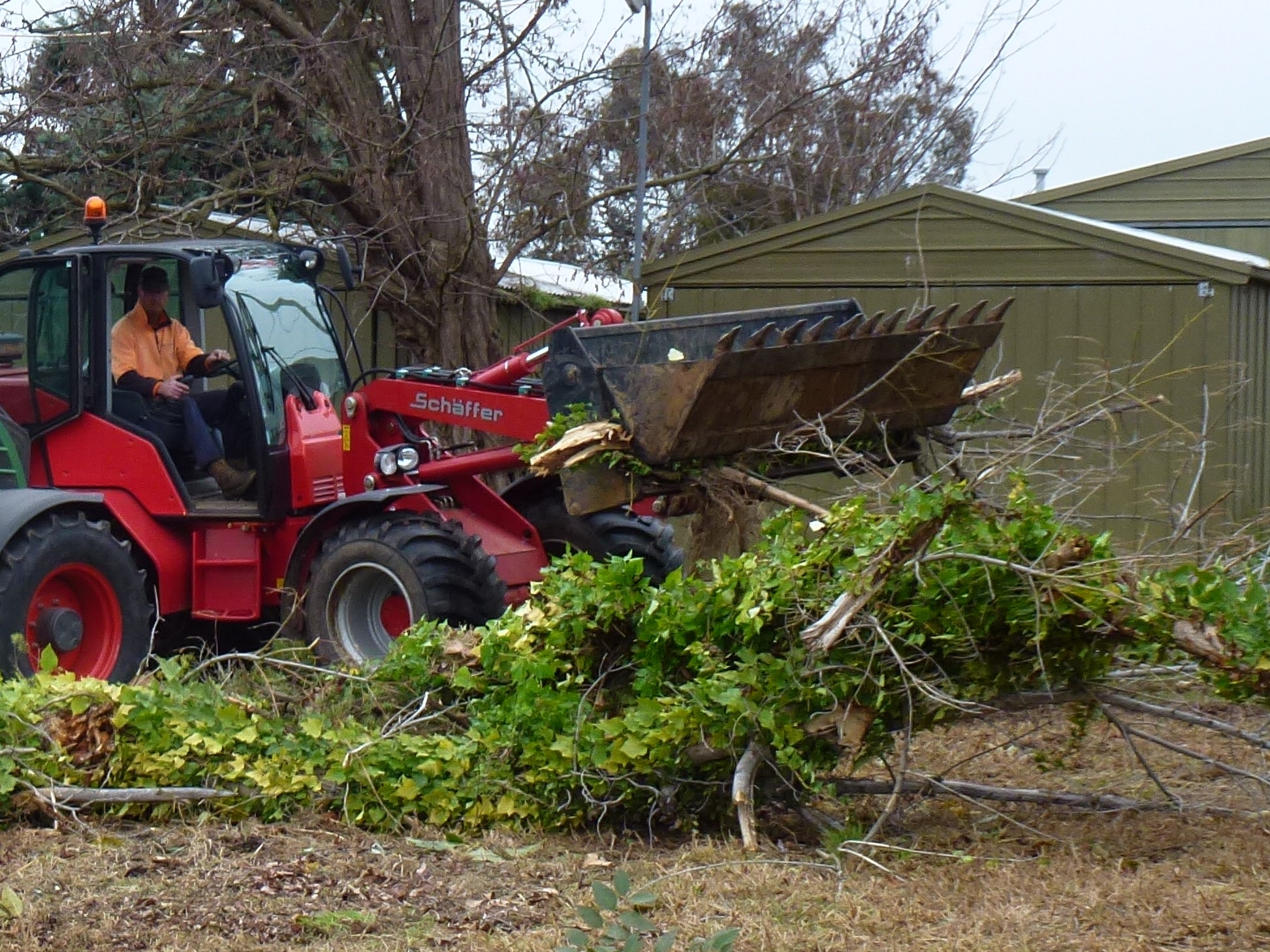 Fire Hazard Reduction & Property Clean-Up - 3