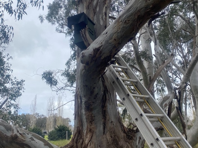 Habitat Creation - 3