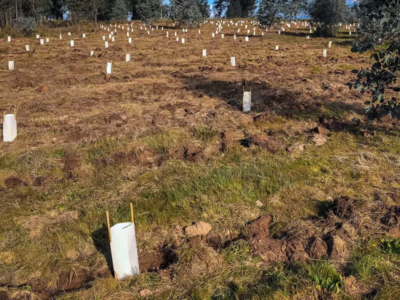 Woolshed Creek - Image 1