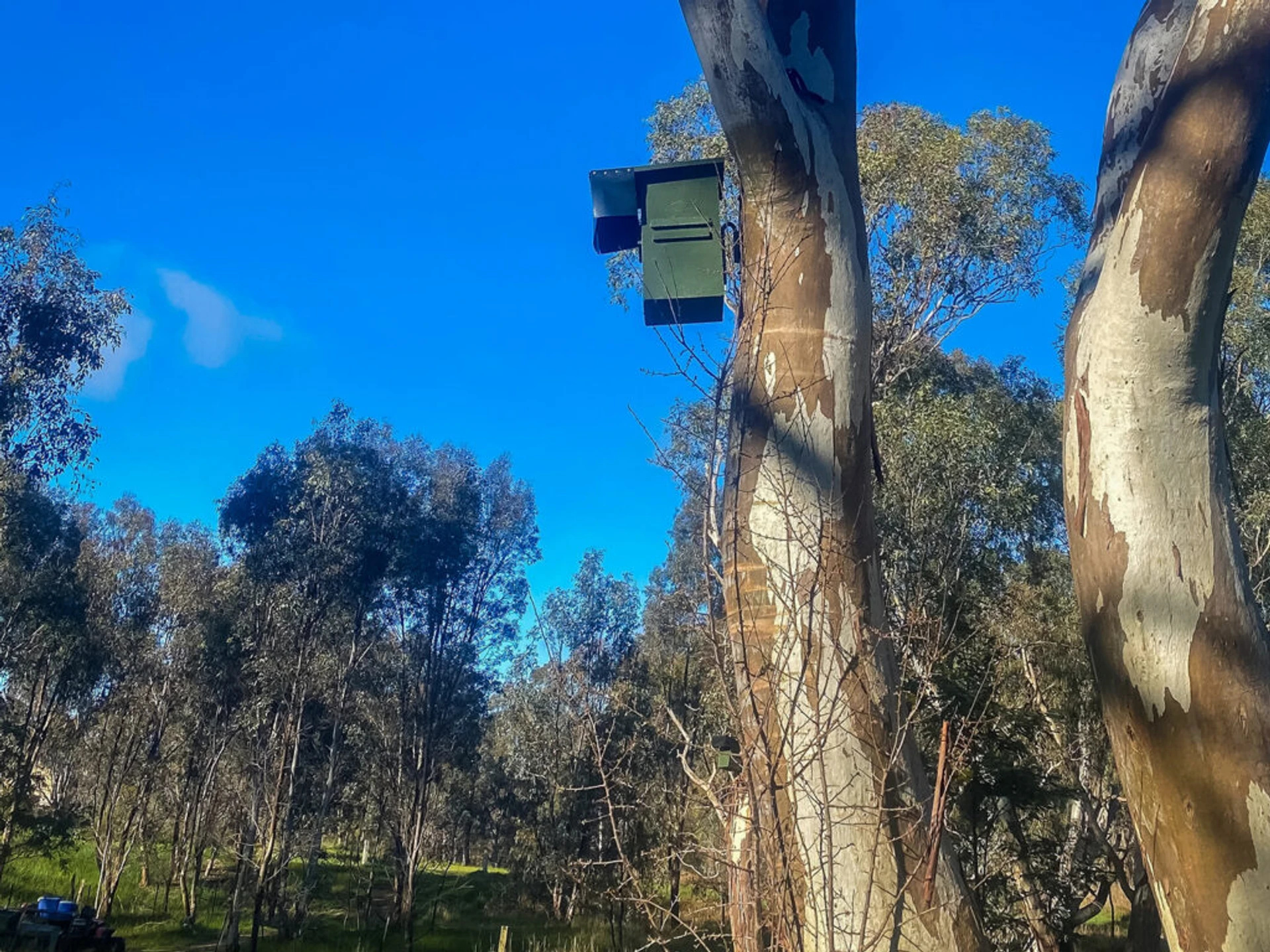 Woolshed Creek - Image 3