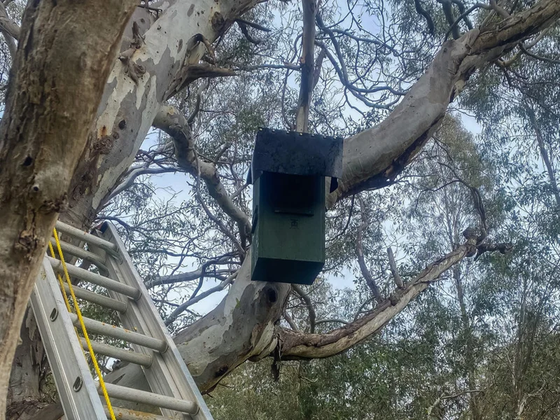 Woolshed Creek - Image 3