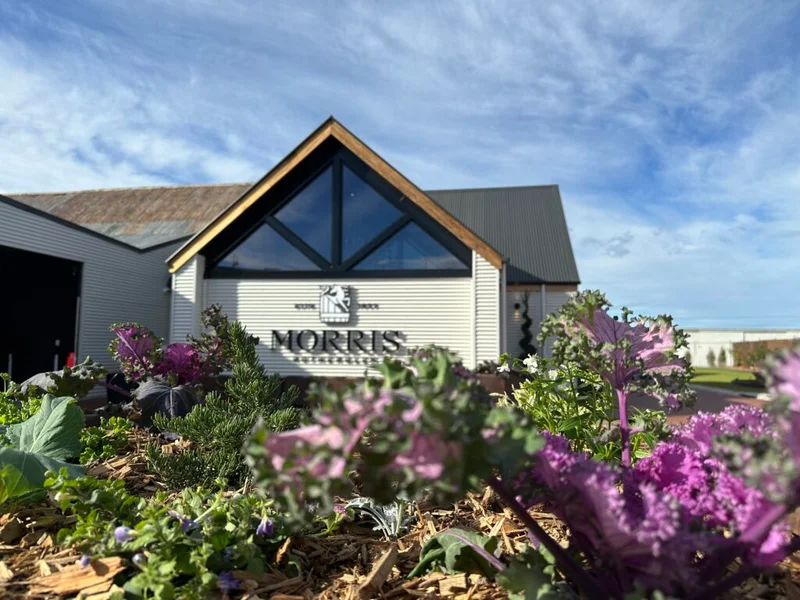 Morris of Rutherglen Cellar Door Landscape - Image 3