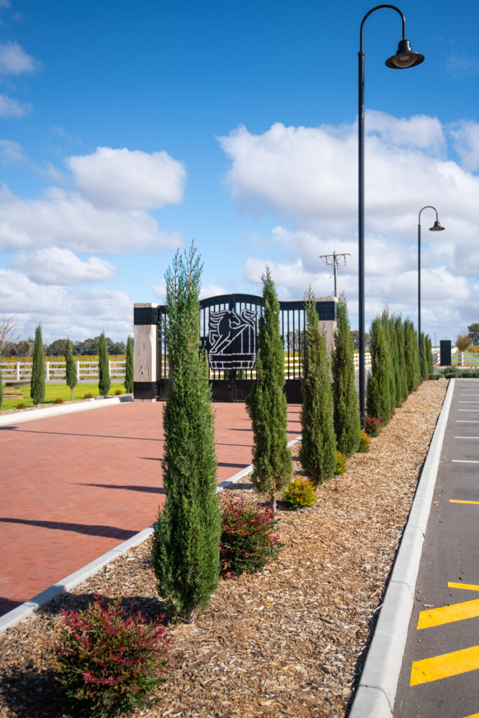 Concrete Paths, Walls, Paving & Garden Edging - 1