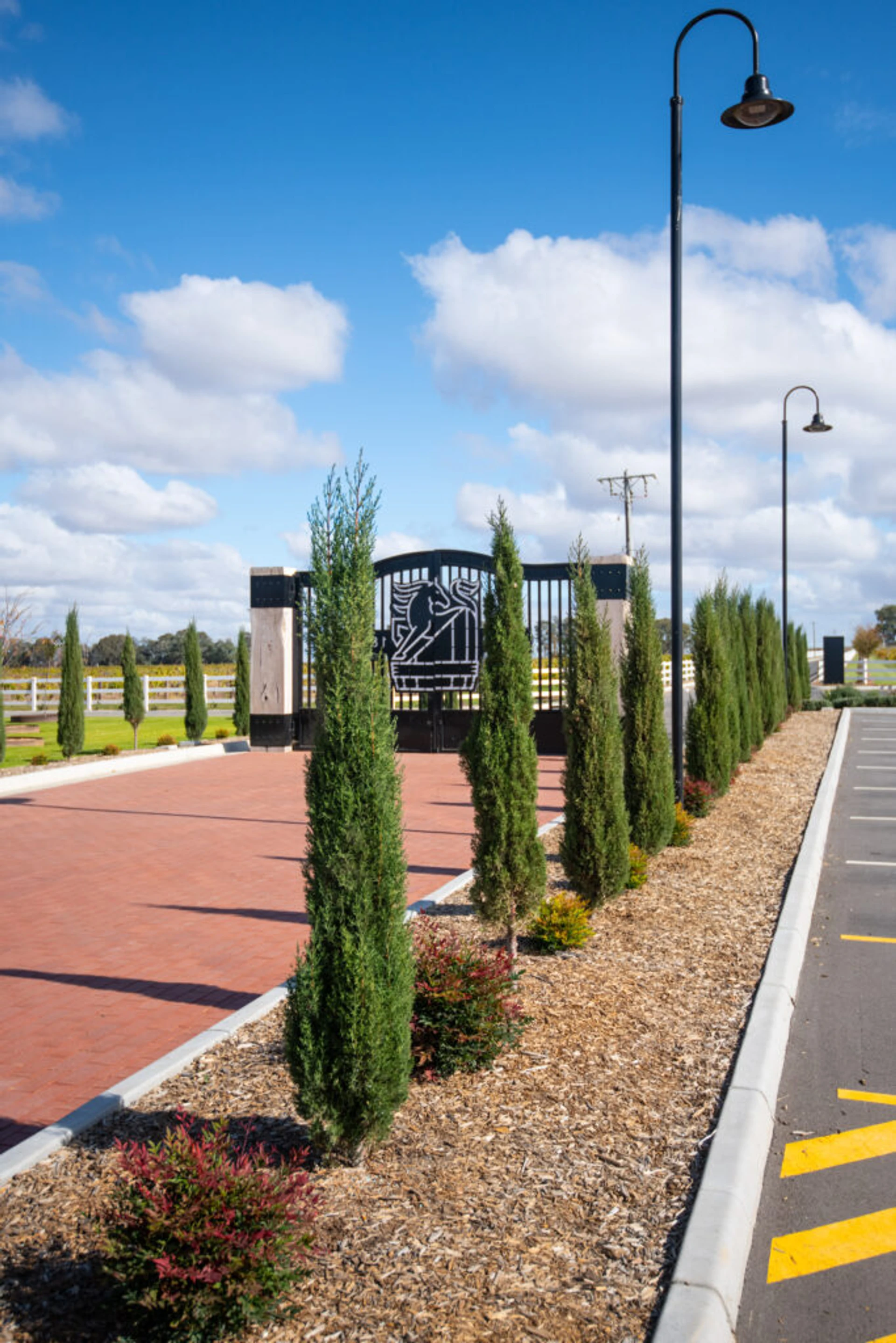 Morris of Rutherglen Cellar Door Landscape - Image 5