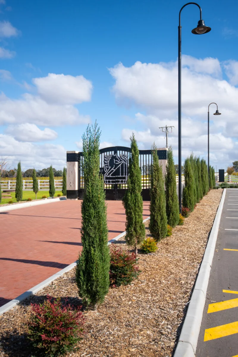 Morris of Rutherglen Cellar Door Landscape - Image 4