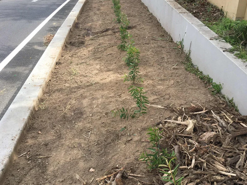 High Street Off Ramp - Image 5