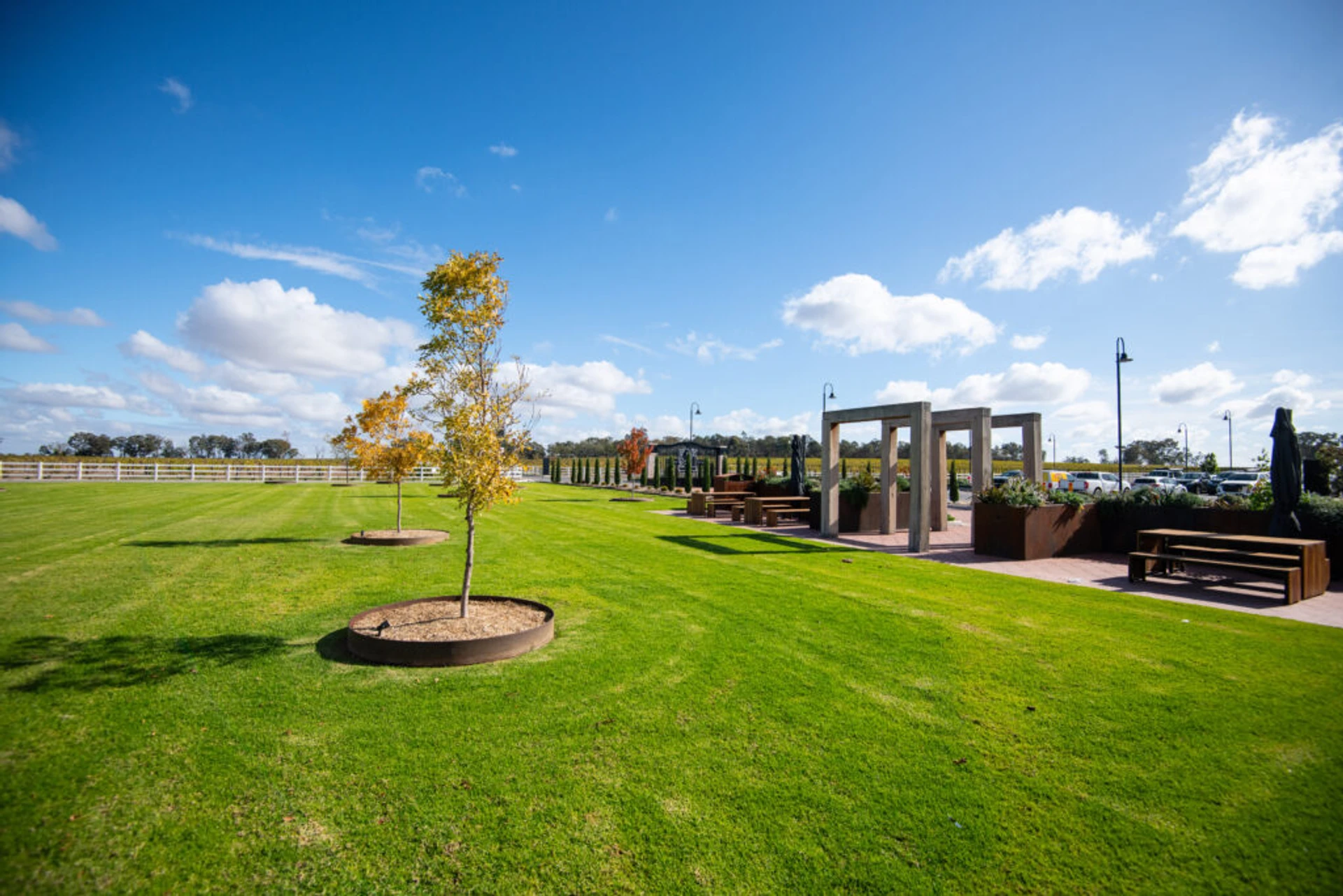 Morris of Rutherglen Cellar Door Landscape - Image 9