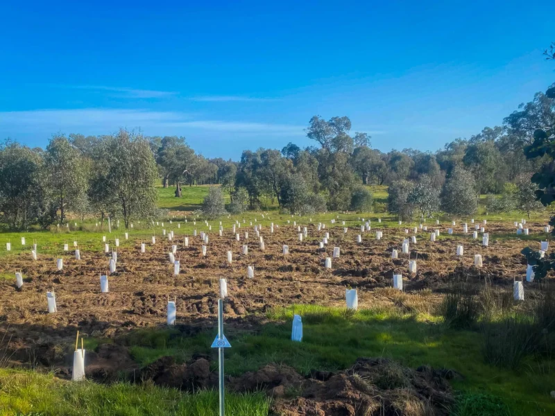 Brooklyn Fields Estate (Stage 1 to Stage 5) - Image 18