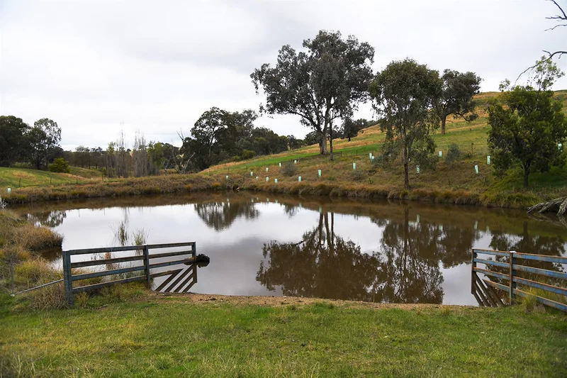Farm Biodiversity - Image 1