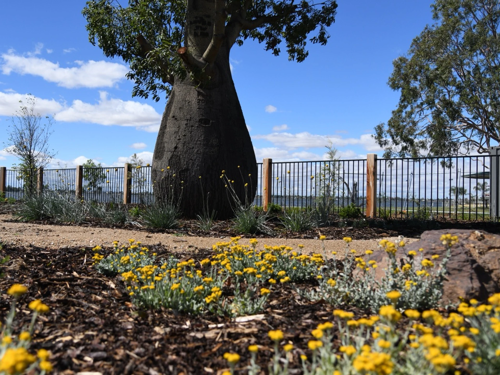 Purtle Park - Image 5