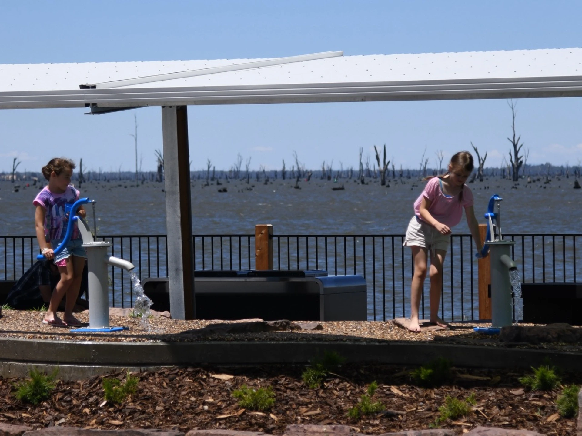 Purtle Park - Image 10