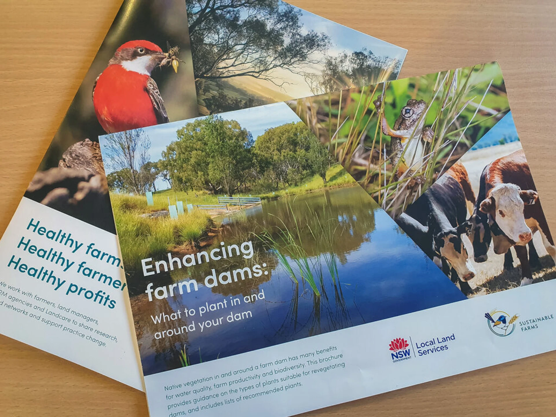 Farm Biodiversity - Image 5