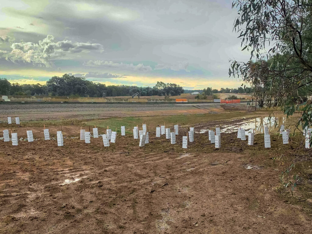 Revegetation Blocks & Tubestock Planting