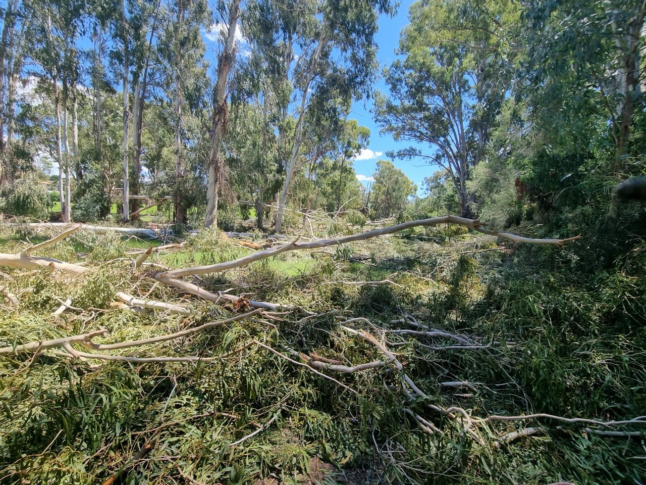 Storm & Flood Clean Ups - 2