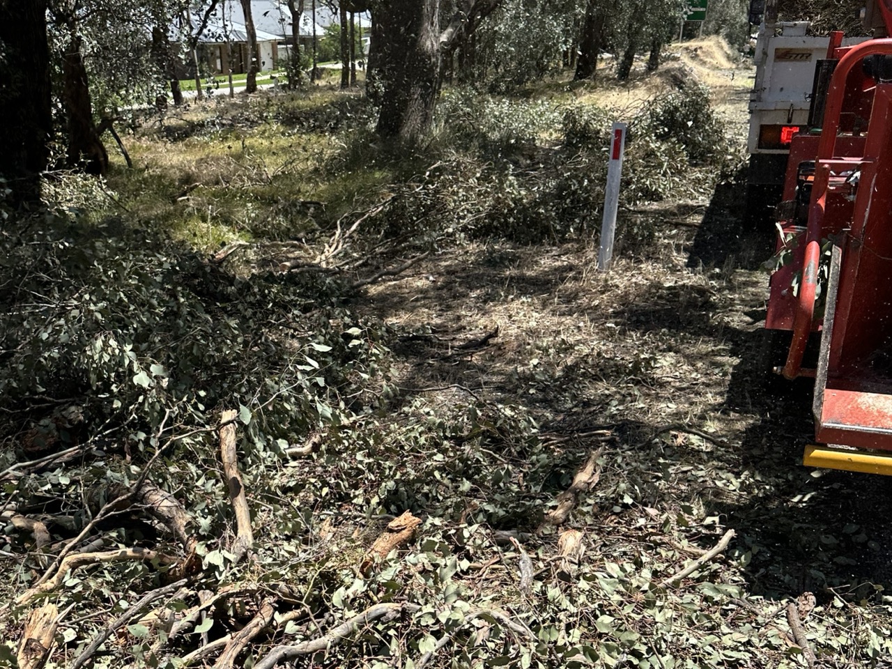 Storm & Flood Clean Ups - 3