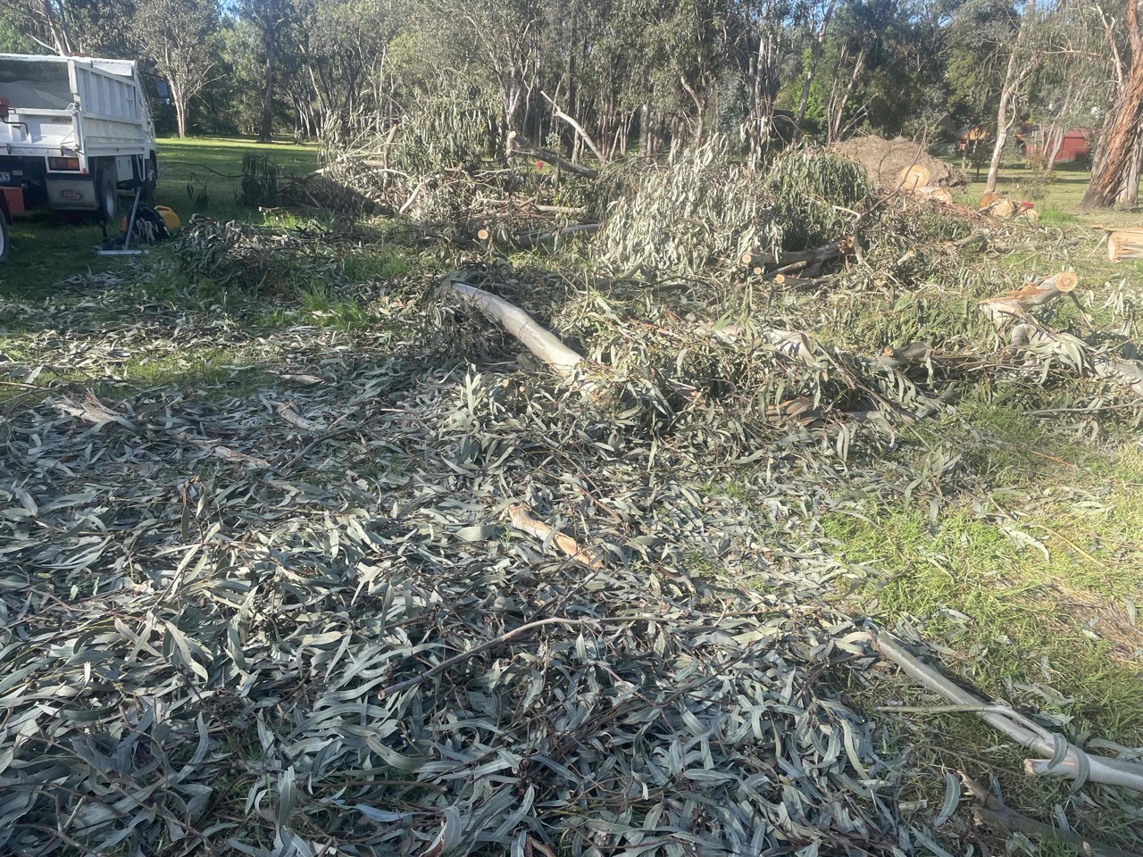 Storm & Flood Clean Ups - 4