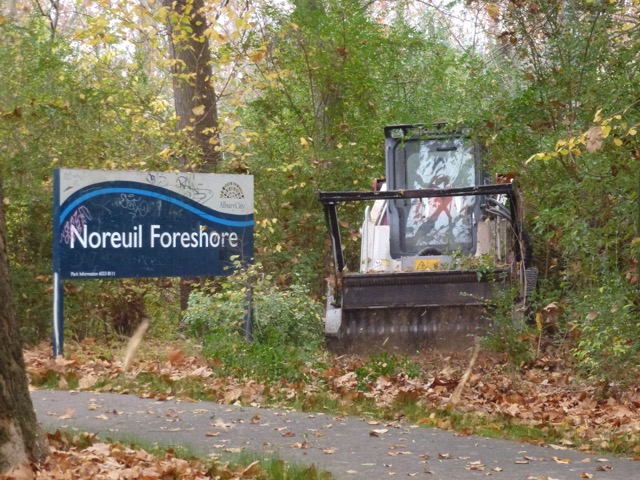 Woody Weed & Vegetation Management - 1