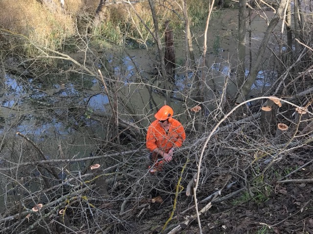 Woody Weed & Vegetation Management - 2