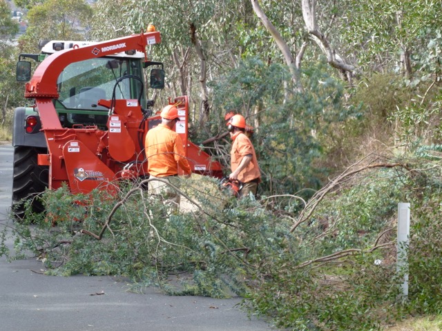 Woody Weed & Vegetation Management - 3